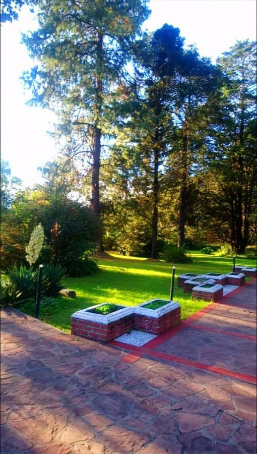 La Casona Del Camino Real Hotel San Salvador de Jujuy Bagian luar foto